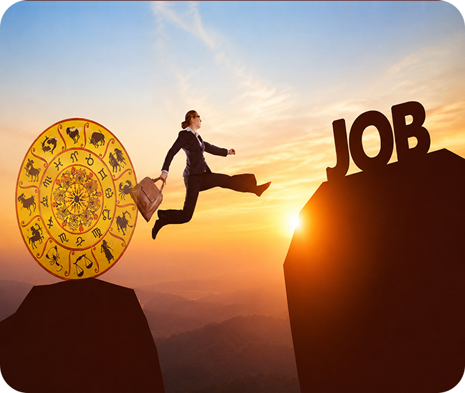 Job Guidance